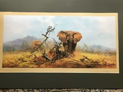 David Shepherd   Signed Print The Elephant And The Ant-Hill • £120