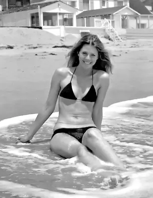 Actress LINDSAY WAGNER Celebrity Pin Up Publicity Picture Photo Print 8 X10  • $13