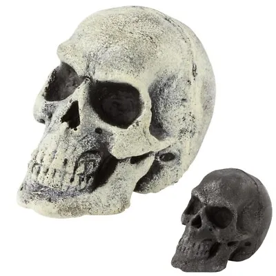 £9.50 • Buy Foam & Latex Mini Shrunken Skull Throwing Weapon - Perfect For LARP Events