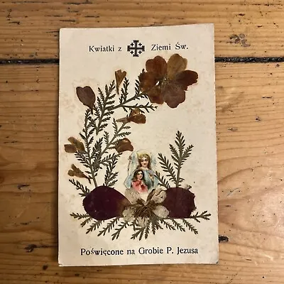 Vintage Card Flowers From The Holy Land Jerusalem - Pressed Flowers • £8