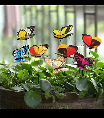 24X Fairy Garden Butterflies On Sticks Outdoor House Flower Pot Yard Ornament • £5.99