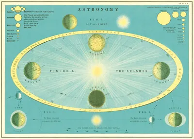 Cavallini & Co. Astronomy Chart Decorative Paper Sheet / Poster  • $10.95