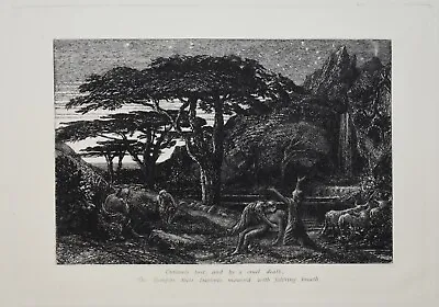 £304.20 • Buy Listed English Artist Samuel Palmer, Original Etching British The Cypress Grove