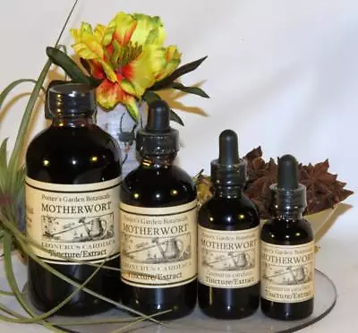 MOTHERWORT Circulation Menopause Mood Nerves Traditional Folk Remedy Tincture ~ • $18.95