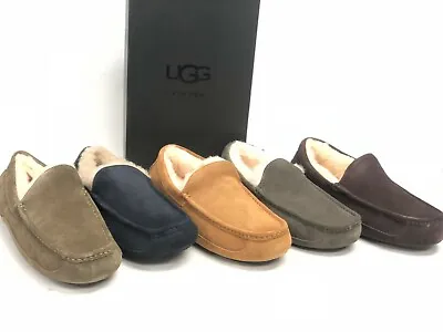 UGG Men's Ascot Slippers 1101110 Shoes Sheepskin Suede Multiple Colors • $62.99