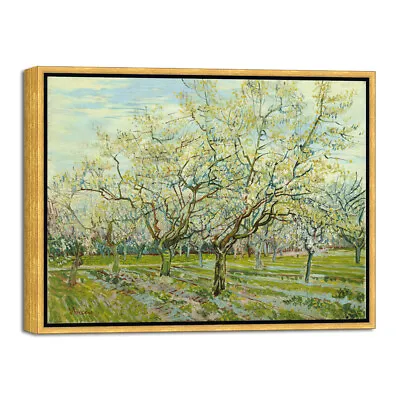 Framed Wall Art Of The White Orchard By Van Gogh Paintings Bronze Gold Frame • $19.99