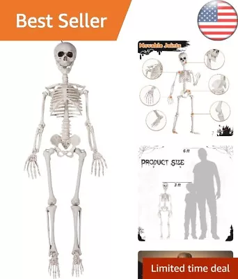 Realistic Posable Skeleton Decorations - Sturdy Easy Assembly - 3FT Hanging • $35.97