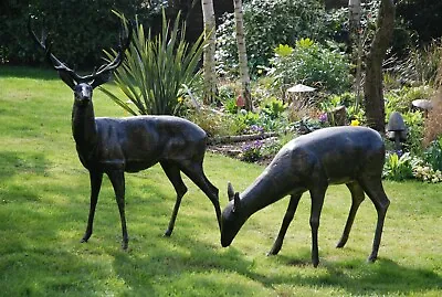 Life Size Metal Stag And Doe / Deer Garden Ornament Bronze Finish Sculpture • £1399