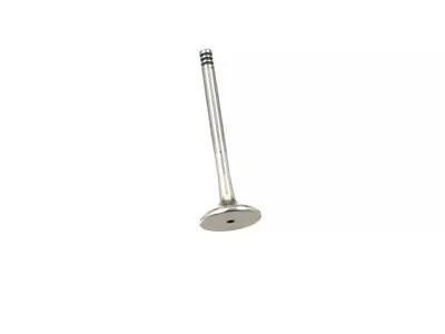 Exhaust Valve For 96-04 VW Jetta Beetle Golf Passat 1.9L 4 Cyl AHU ALH 1Z DZ32Y5 • $22.15