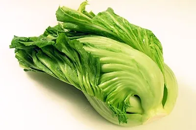 Authentic Chinese Indian Mustard (Gai Choy Gai Choi) Cabbage Seeds Size 100-500 • $2.75