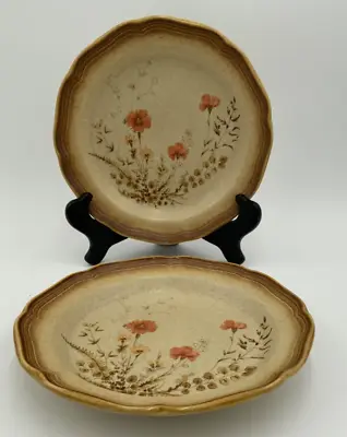 Vintage Mikasa Whole Wheat Jardiniere E 8016 Set Of 2 Plates 8  • $20