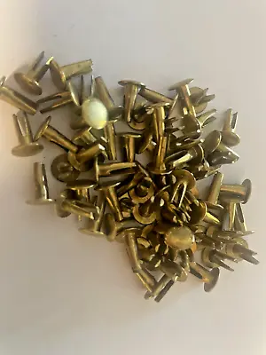 50 ~ 9/64  Diameter X 3/8  Long Brass Plated Cymbal Sizzlers Split Rivets • $10.49