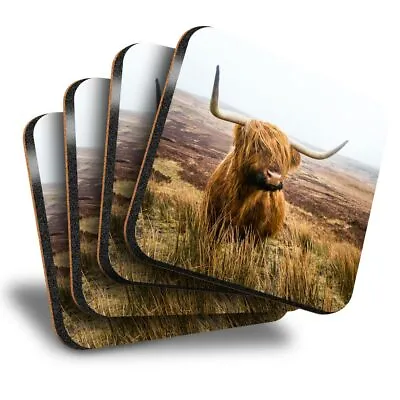 £7.99 • Buy Set Of 4 Square Coasters - Fluffy Brown Highland Cow Scotland  #15755