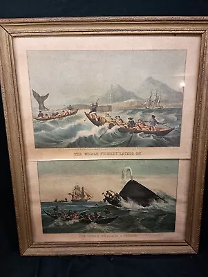 2 Vintage N Currier Litho Prints Of Sperm Whale Fishing Framed  18x22 • $12