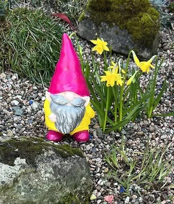 Hand Painted Garden Gnome • £16