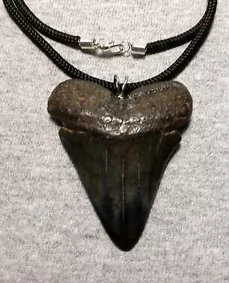 Mako Shark Tooth Shark Teeth Necklace Fossil 2 3/8  Wireless Polished Megalodon • $35