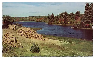 Vintage Norway Maine Postcard View Of Lake Pennesseewassee Unused Chrome • $4.65