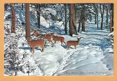 Michigan Postcards.  1 Card. 4x6. Big Bass Lake I Irons Michgan • $1.80