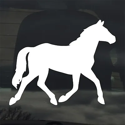 Horse Pony Custom Vinyl Sticker / Decal - Native Western Cowboy • $6.99