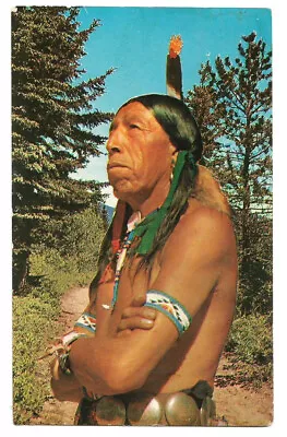 Mohawk Trail MA Postcard Greetings Indian Native American • $4.89