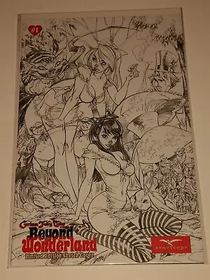 Grimm Fairy Tales Beyond Wonderland #1 Sketch Variant Zenescope 2008 Nm+ (9.6) • £29.99