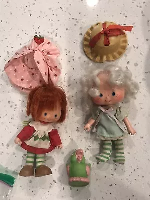 Vintage Strawberry Shortcake Dolls Lot Clothes And Pet • $40