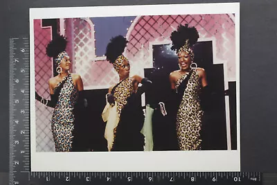 The Pointer Sisters Perform Leopard Portrait Promo 8x10  Photo Pre-2012 L1740C • $9.95