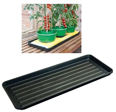 Plastic Grow Bag Growbag Tray Garden Plant Watering Trays Pots Planters Halos • £19.95