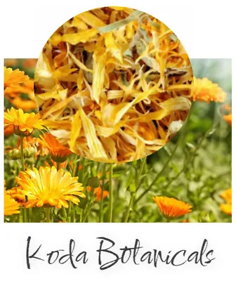 $16.16 • Buy ORGANIC CALENDULA Herbal Remedy PREMIUM GRADE Calendula Officinalis Dried Flower