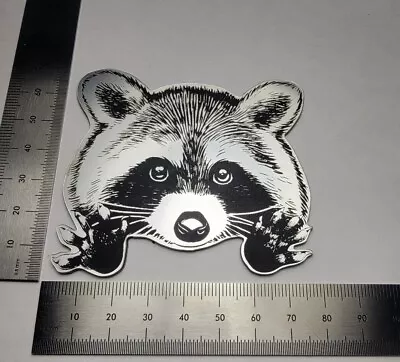 Raccoon Head Portrait Cute Decal Sticker Art Car Wall Garden Decor  • $30