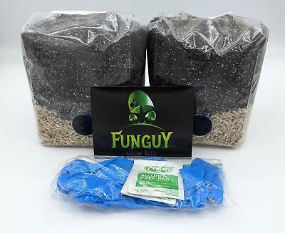 2 PACK - All In One Organic Easy Mushroom Grow Growing Bag Kit Grain + Substrate • $25.95