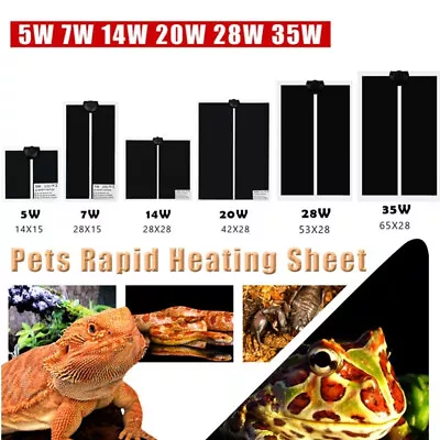 $34.89 • Buy Reptile Vivarium Heat Mat Heating Warm Heater Pad With Thermostat Controller AU