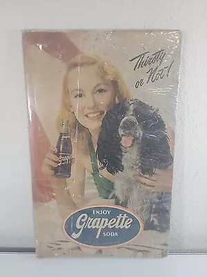 Vintage Enjoy Grapette Soda Cardboard Girl With Dog Display Sign 368 G 18 X 11.5 • $59.99