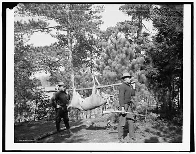 8  X 10  Photo HuntinganimalsdeerAdirondack MountainsNew York • $16.95