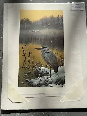 Great Blue Heron By Carl Brenders Limited Edition Print • $200