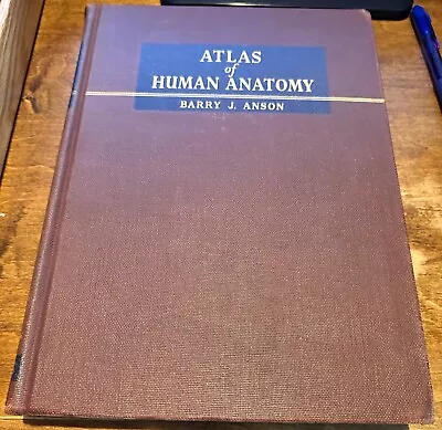 Vintage Medical Textbook Book Atlas Of Human Anatomy Anson Barry 1951 • $21