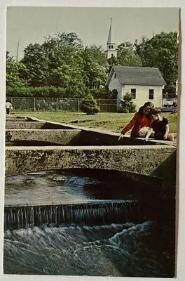 Children At New York State Fish Hatchery Cold Spring Harbor Long Island Postcard • $7.99