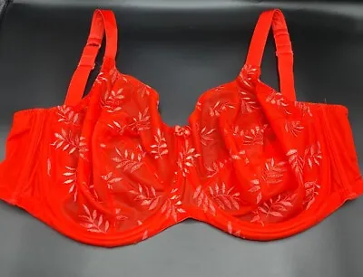  PANACHE TANGO II RED FLORAL LACE UNPADDED UNDERWIRE BALCONY BRA UK 36GG Mint* • £14.99