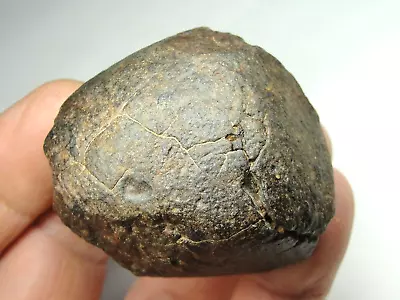 Meteorite - Oriented - Top Quality - Rare Orientation - SLS-1990 - 132.0g Superb • $65.95