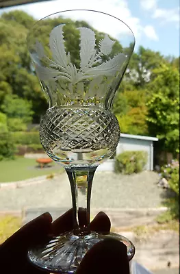 1 Edinburgh Crystal Sherry Port Glass THISTLE 4 3/8  Signed 1st OTHERS AVAILABLE • £45.99