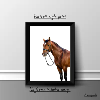 Horse Fun A4 Print Poster Picture Wall Art Home Decor Unframed Gift New • £3.99