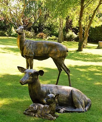 Stag And Doe Garden Ornaments ... Deer Metal Life Size Statue In Bronze Finish • £1199