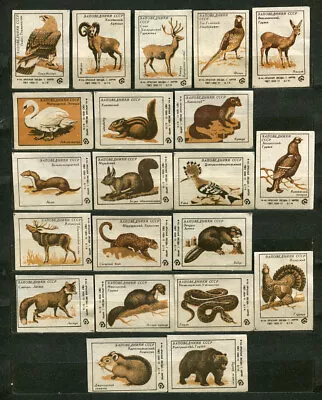 1977 Animals From Ussr National Parks Set Of 21 Rare Russian Matchbox Labels • $3.95