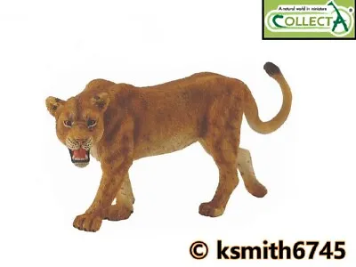 £6.55 • Buy CollectA LIONESS Plastic Toy Wild Zoo Animal Cat Female LION * NEW 💥