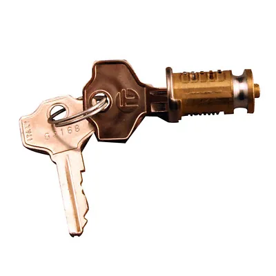 STARFLEET Garage Door ANTI-VANDAL Replacement LOCK BARREL & 2 Keys Cylinder Plug • £16.70