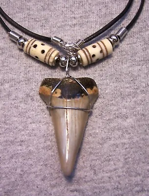 Shark Tooth Necklace 1 7/8  Mako Sharks Teeth Jaw Fossil Megalodon Dive Polished • $20