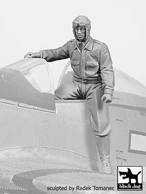Black Dog 1/32 USAAF Fighter Pilot 1940-1945 WWII #4 Exiting Cockpit F32143 • $23.97