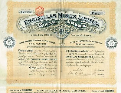 MEXICO ENCINILLAS MINES Stock Certificate/bond 1904 5 SH • $24.99