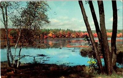 Zett's Fish Hatcheries Drifting Pennsylvania Postcard Cancel 1970 Drifting Pa • $10