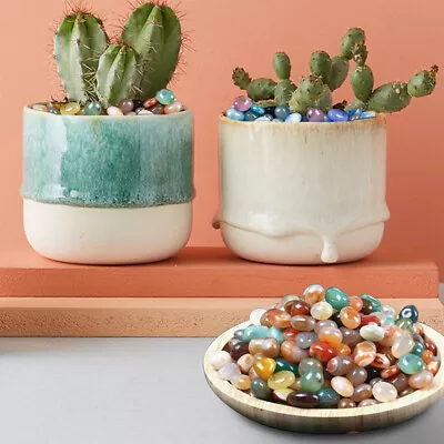 £6.04 • Buy Pebbles Decorative Stone Set Natural For Garden Plants Potted Aquariums Gravel